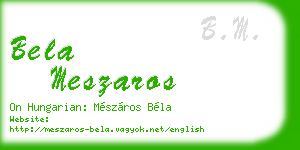 bela meszaros business card